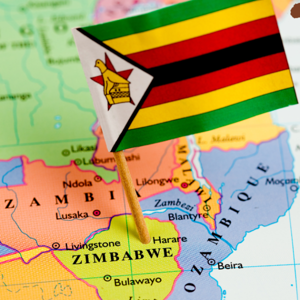 The Ghost of Growth: What Zimbabwe’s Economy Teaches Us About Resilience